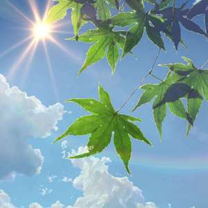 美女裸露小米su7视频
