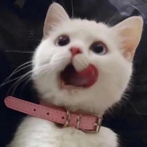 美女裸露小米su7视频
